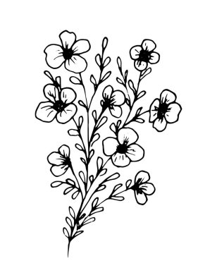 El çizimi karalama çiçeği. Beyazda izole edilmiş. Vektör