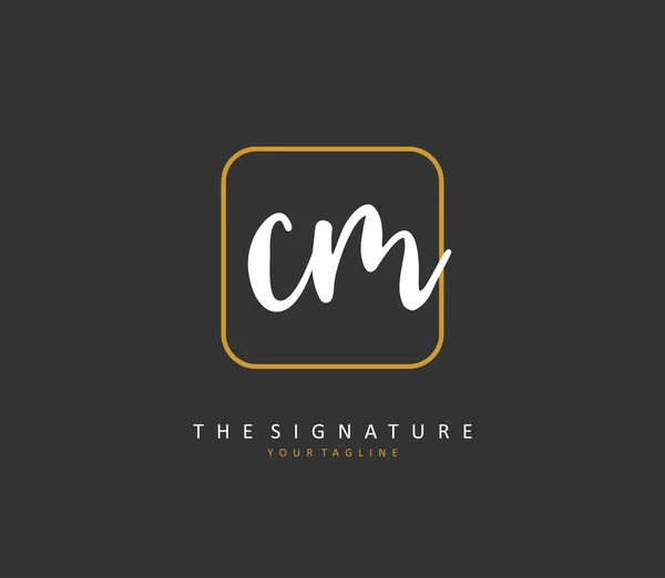 Initial Letter Handwriting Signature Logo Concept Handwriting Initial Logo Template — Stock vektor