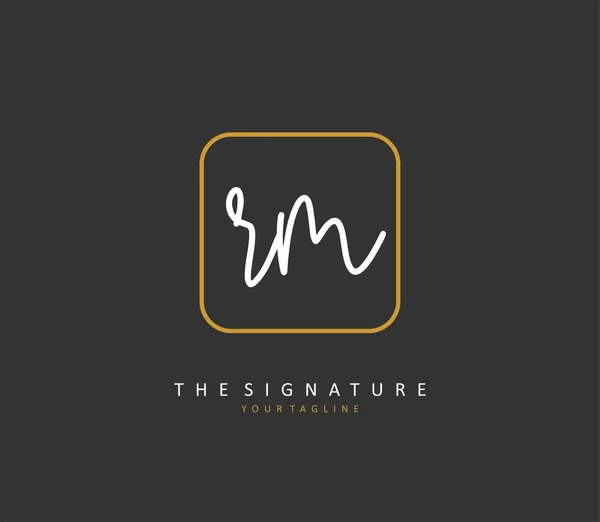 Initial Letter Handwriting Signature Logo Concept Handwriting Initial Logo Template — ストックベクタ