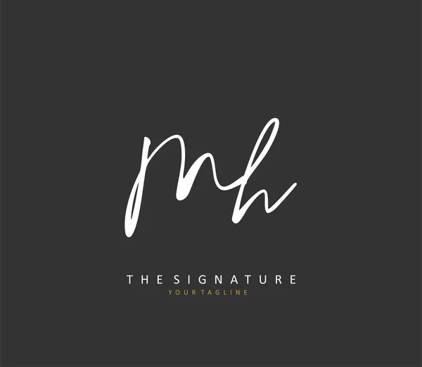 Initial Letter Handwriting Signature Logo Concept Handwriting Initial Logo Template — 스톡 벡터