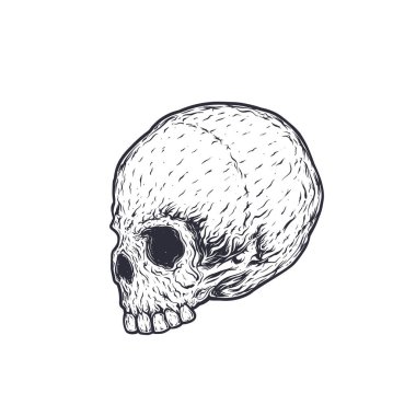 kafatası vektör çizim, t-shirt baskı