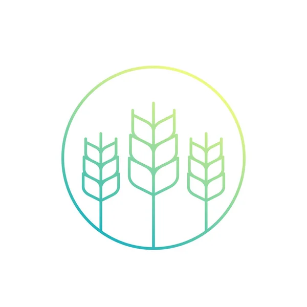 Пшениця, значок сільського господарства — стоковий вектор
