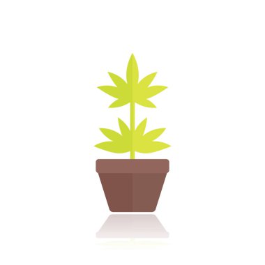 Marijuana bitkisi düz stil pot simgesi