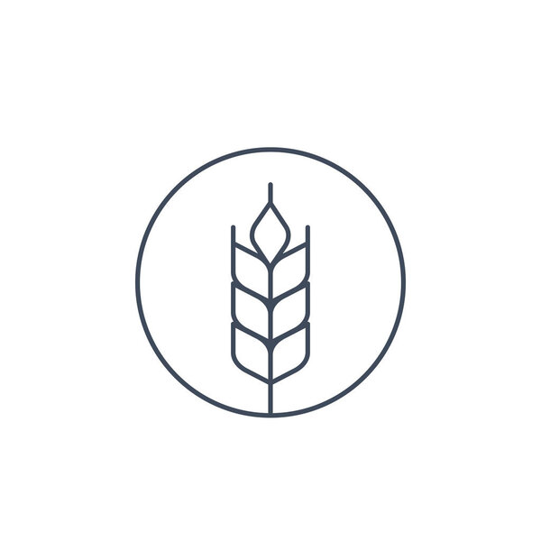 wheat vector icon, linear