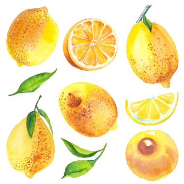 Suluboya narenciye limon illüstrasyon ayarla.
