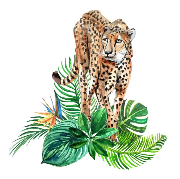 Akvarell Illustration Tropiska Löv Och Leopardmönster — Stockfoto