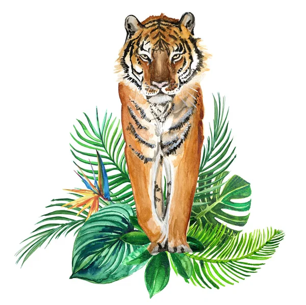 Akvarell Illustration Print Tropiska Löv Och Tiger — Stockfoto