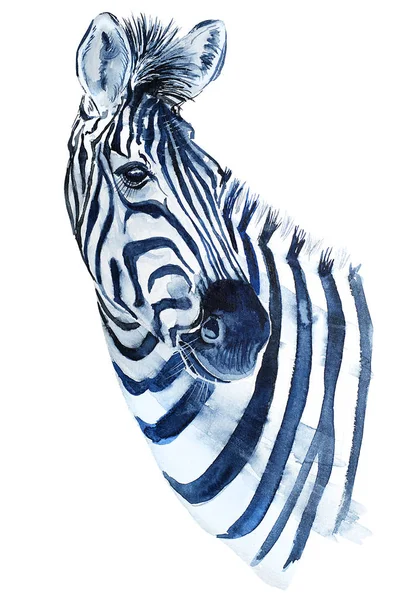 Stampa Illustrazione Testa Zebra Acquerello — Foto Stock