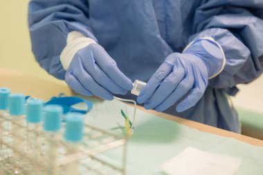 Hemşire kan testi için malzemeyi hazırlar. Sağlık ve ilaç kavramı.