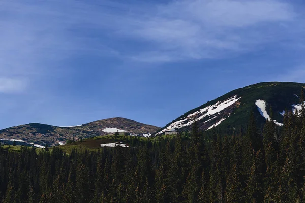 dağ doruklarına yeşillik ve Karpatlar lanscapes karda