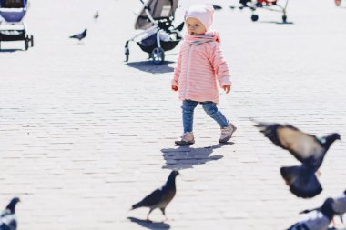 küçük şirin bebek yürüyüşü meydanda kuşlarla güneşli günde