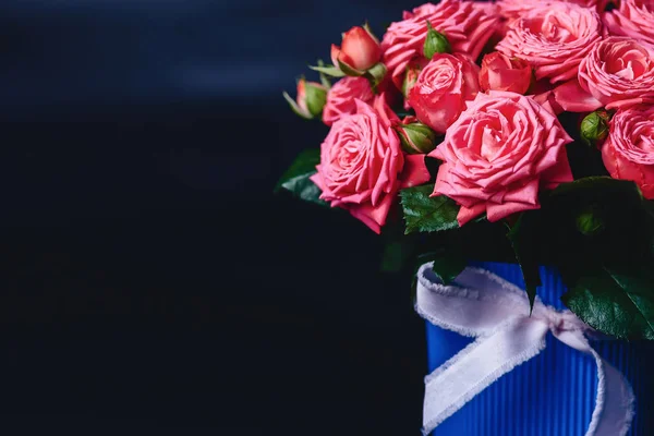 Rose Bush Basket Barbados Variety Dark Simple Background — Stock Photo, Image