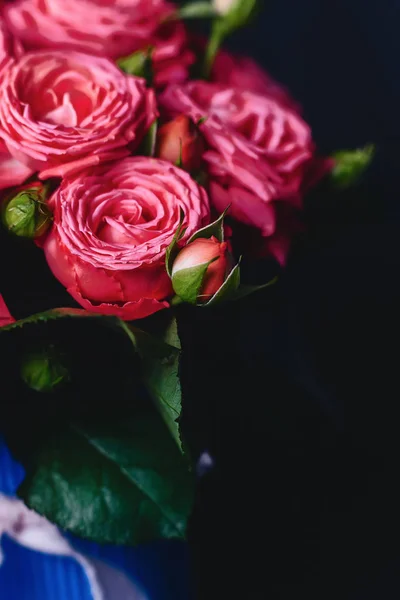 Rose Bush Basket Barbados Variety Dark Simple Background — Stock Photo, Image