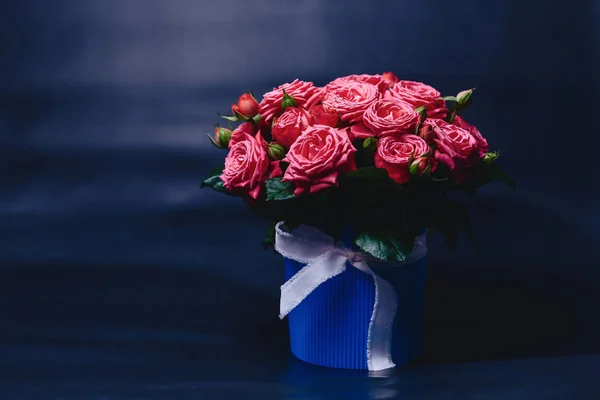 Rose Bush Basket Barbados Variety Dark Simple Background — Stock Photo, Image