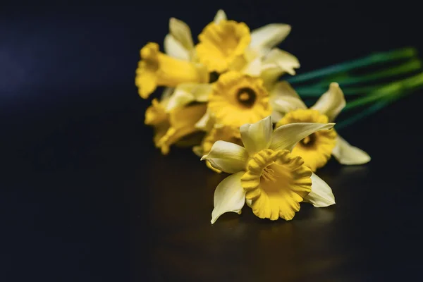 Yellow Daffodils Flowers Simple Dark Background — Stock Photo, Image