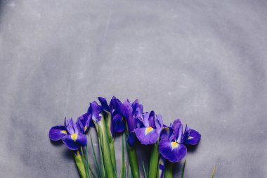 Süsen Studio basit koyu arka plan üzerinde