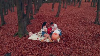 aile piknik küçük çocukla hava sonbahar Park'ta