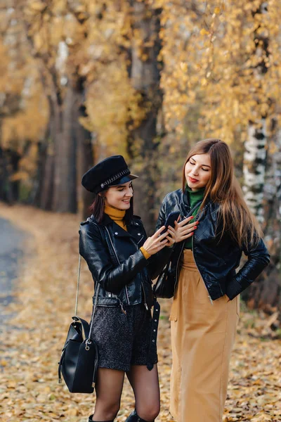 Zwei Gemütlich Lächelnde Junge Mädchen Spazieren Der Herbstlichen Parkstraße Und — Stockfoto