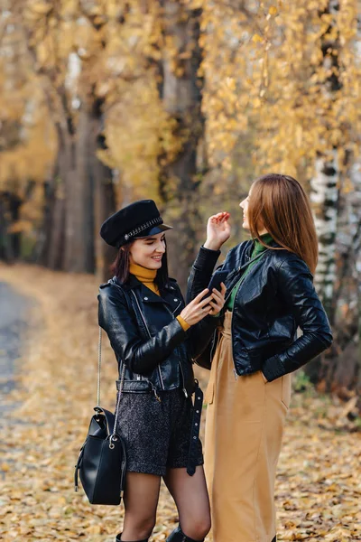 Zwei Gemütlich Lächelnde Junge Mädchen Spazieren Der Herbstlichen Parkstraße Und — Stockfoto