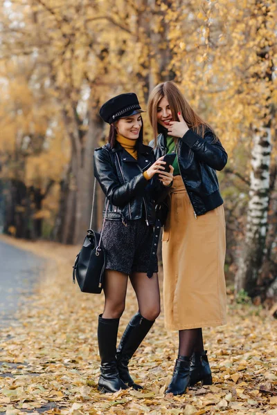 Zwei Gemütlich Lächelnde Junge Mädchen Spazieren Der Herbstlichen Parkstraße Und — Stockfoto