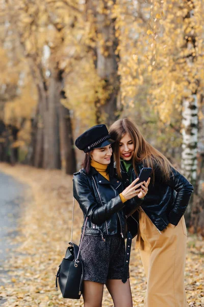 Zwei Gemütlich Lächelnde Junge Mädchen Spazieren Der Herbstlichen Parkstraße Und — Stockfoto