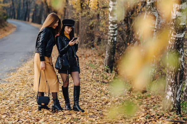 Iki Rahat Gülümseyen Genç Kız Sonbahar Park Road Bir Yapmak — Stok fotoğraf