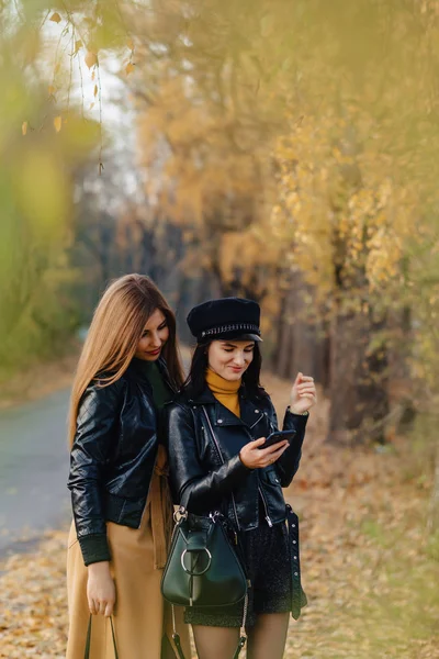 Zwei Gemütlich Lächelnde Junge Mädchen Spazieren Der Herbstlichen Parkstraße Und — Stockfoto