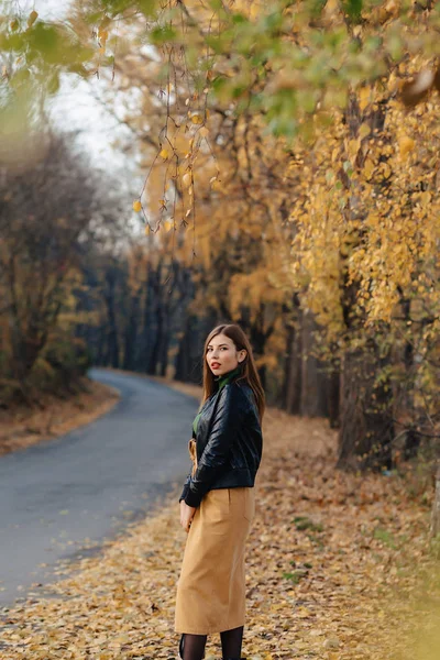 Aconchegante Elegante Jovem Caminhada Outono Colorido Parque Sozinho — Fotografia de Stock