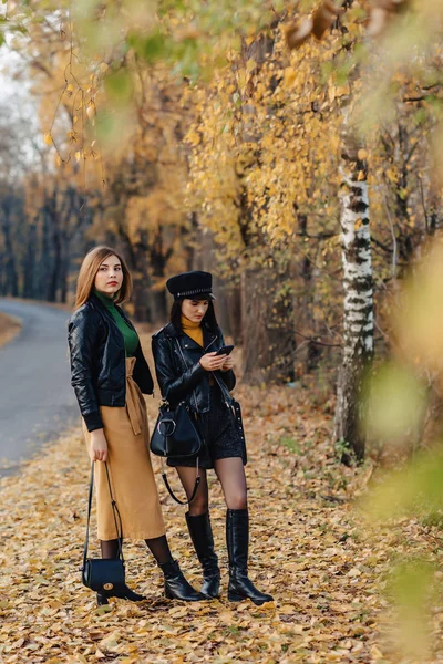 Zwei Gemütlich Lächelnde Junge Mädchen Spazieren Der Herbstlichen Parkstraße Und — Stockfoto
