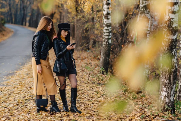Kaksi Viihtyisää Hymyilevä Nuoria Tyttöjä Kävellä Syksyllä Park Road Tehdä — kuvapankkivalokuva