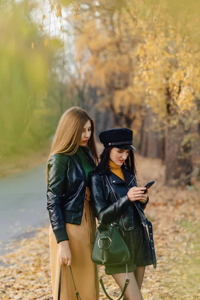 Zwei Gemütlich Lächelnde Junge Mädchen Spazieren Der Herbstlichen Parkstraße Und — Stockfoto