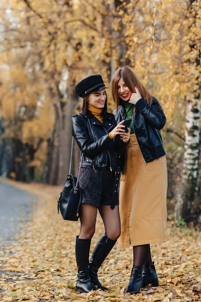 Zwei Gemütlich Lächelnde Junge Mädchen Spazieren Der Herbstlichen Parkstraße Und — Stockfoto