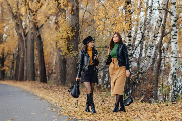 Zwei Gemütlich Lächelnde Junge Mädchen Spazieren Der Herbstlichen Parkstraße Und — Stockfoto