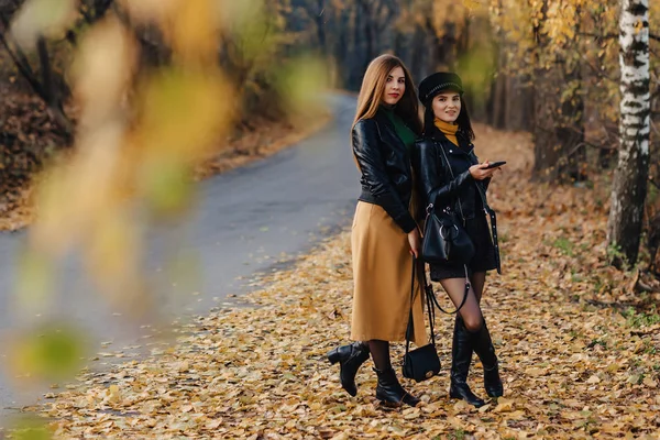 Zwei Gemütlich Lächelnde Junge Mädchen Spazieren Der Herbstlichen Parkstraße Und — Stockfoto