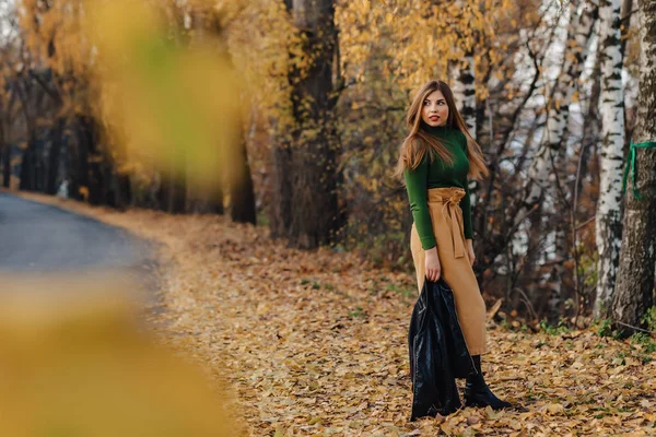 Accogliente Elegante Passeggiata Ragazza Parco Colorato Autunno Solo — Foto Stock