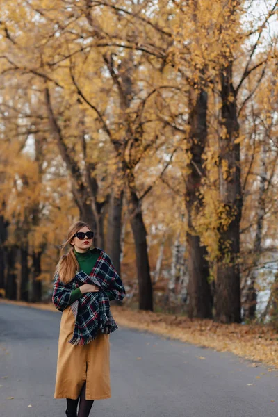 Acogedor Elegante Chica Caminar Otoño Colorido Parque Solo — Foto de Stock