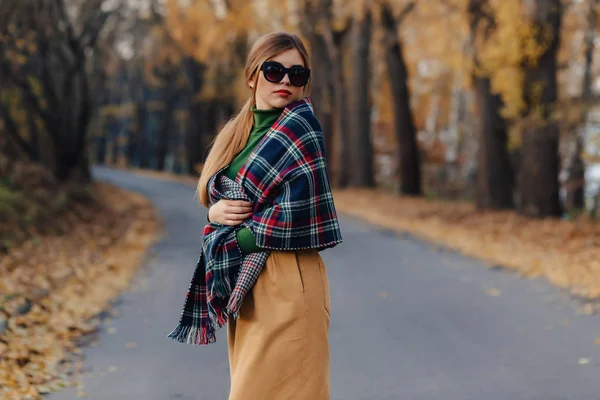 Cozy Stylish Young Girl Walk Autumn Colorful Park Alone — Stock Photo, Image