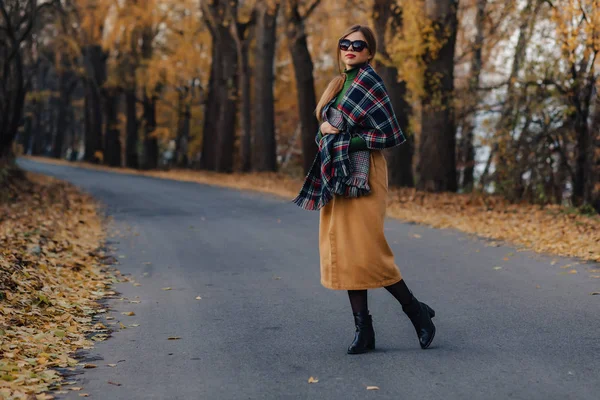 Cozy Stylish Young Girl Walk Autumn Colorful Park Alone — Stock Photo, Image