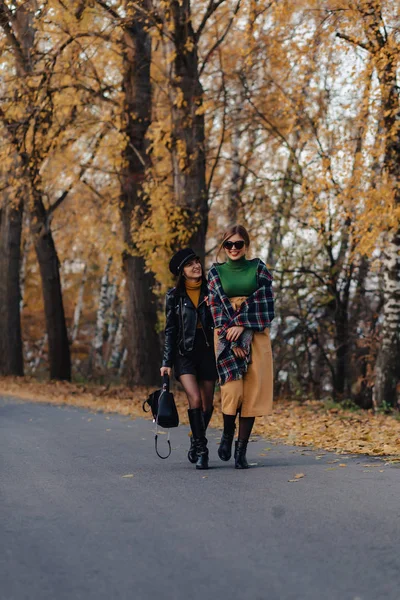 Dos Niñas Sonrientes Acogedoras Caminan Camino Del Parque Otoño Hacer — Foto de Stock