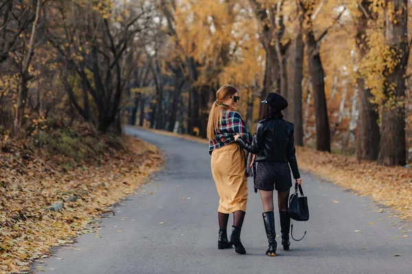 Duas Meninas Sorridentes Acolhedoras Caminham Estrada Parque Outono Fazer Fotos — Fotografia de Stock