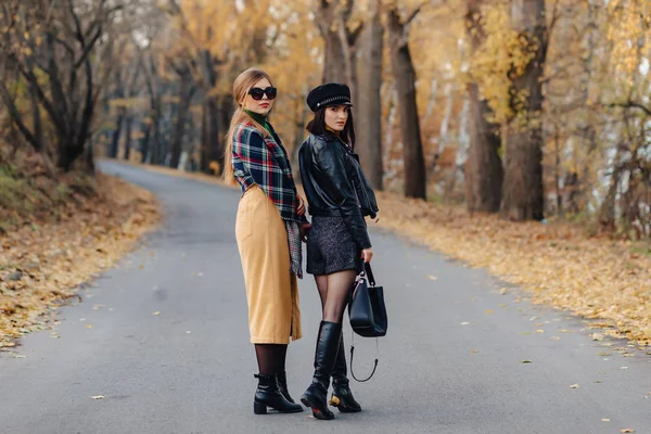 Zwei Gemütlich Lächelnde Junge Mädchen Spazieren Der Herbstlichen Parkstraße Und — Stockfoto