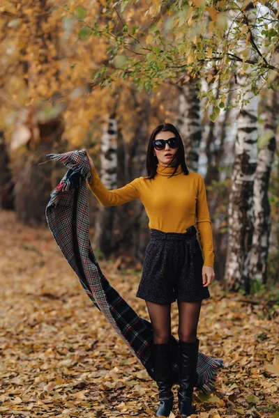 Aconchegante Elegante Jovem Caminhada Outono Colorido Parque Óculos Sol Sozinho — Fotografia de Stock