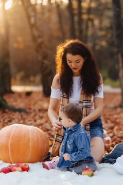 şık ailesiyle mutlu sonbahar büyük kabak sarı yaprak Park'ta küçük şirin çocuk