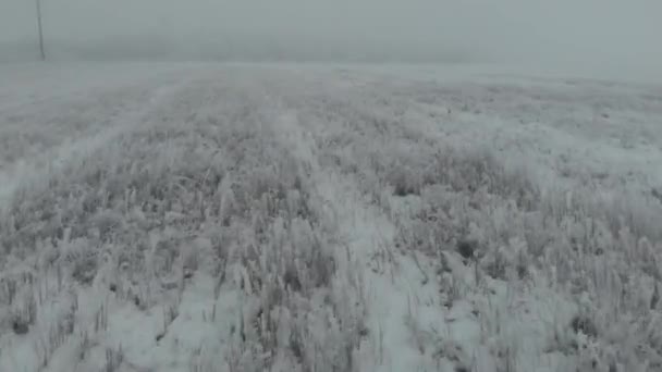 霧の日 低ビューで冬の雪に覆われたフィールドの上飛ぶ空撮 — ストック動画