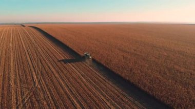 Nerede birleştiren 4 k at sunrise - günbatımı, hasat sonbahar kırsal alanının üstündeki hava sinek
