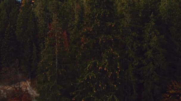 Vuelo Aéreo Sobre Bosque Suiza Alpes Atardecer — Vídeos de Stock