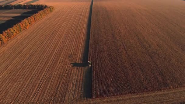 Antennenflug Über Dem Herbstlichen Feld Der Mähdrescher Bei Sonnenaufgang Sonnenuntergang — Stockvideo