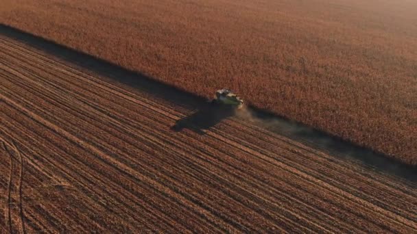 空中苍蝇在秋天的乡村田野之上 在日出 日落时的结合收获 — 图库视频影像