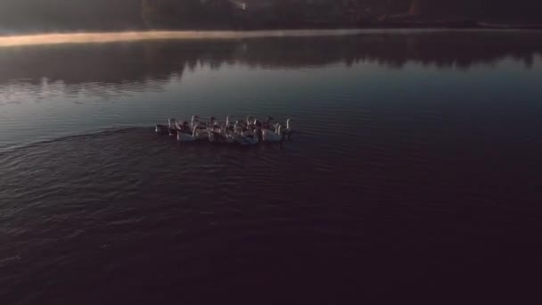 Εναέρια Πετούν Πάνω Από Την Λίμνη Ύπαιθρο Στο Sunrise Ηλιοβασίλεμα — Αρχείο Βίντεο