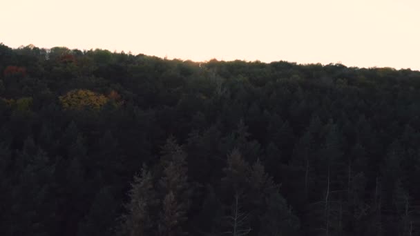 Vol Aérien Dessus Forêt Lever Soleil Coucher Soleil Automne Fumée — Video